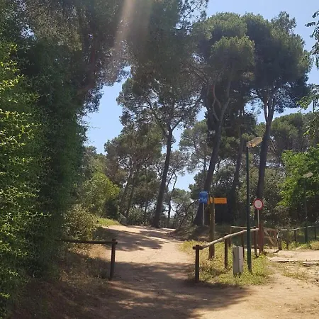 Lejlighed Clotilde With Parking For 6 People Lloret de Mar